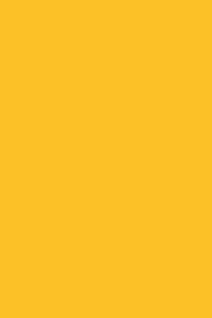 0134 BS Sunshine