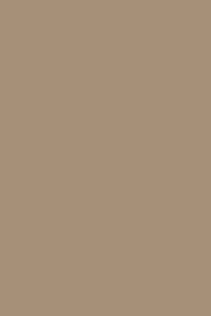 0301 SU Cappuccino