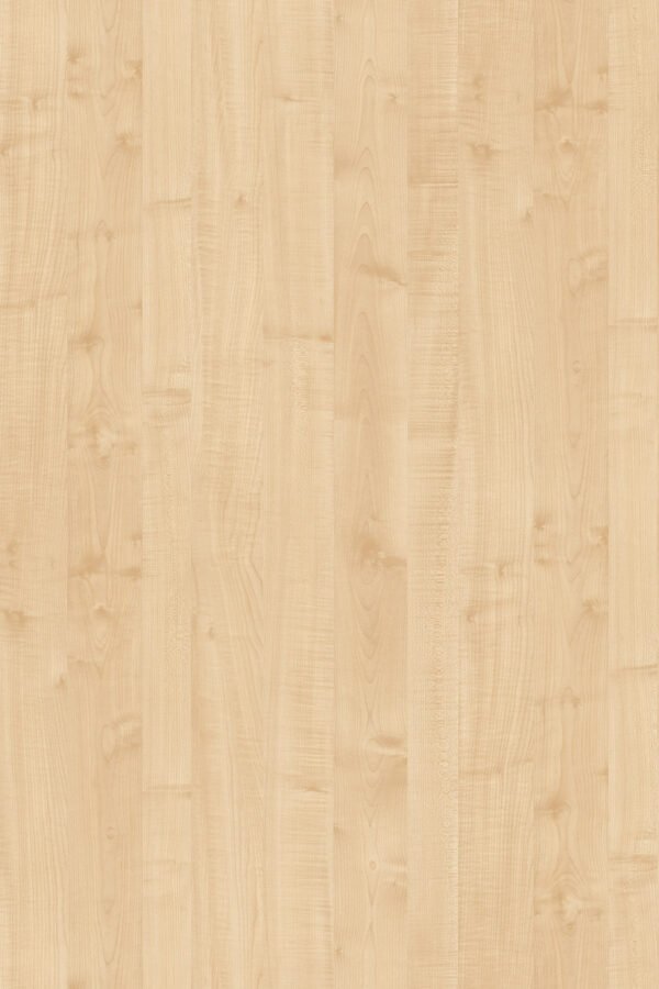 0375 BS Maple