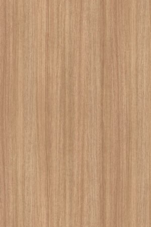 5501 SN Slavonia Oak