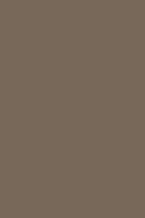 7166 BS Latté