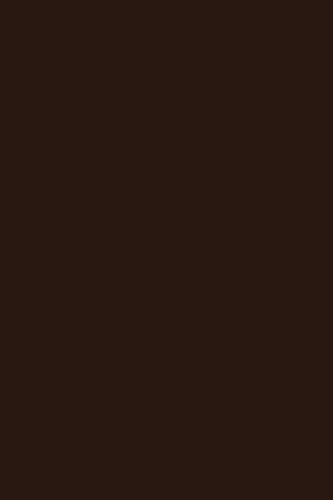 7181 BS Dark Chocolate