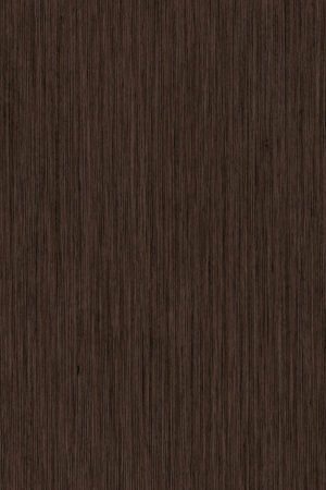 8548 SN Fineline Mocca