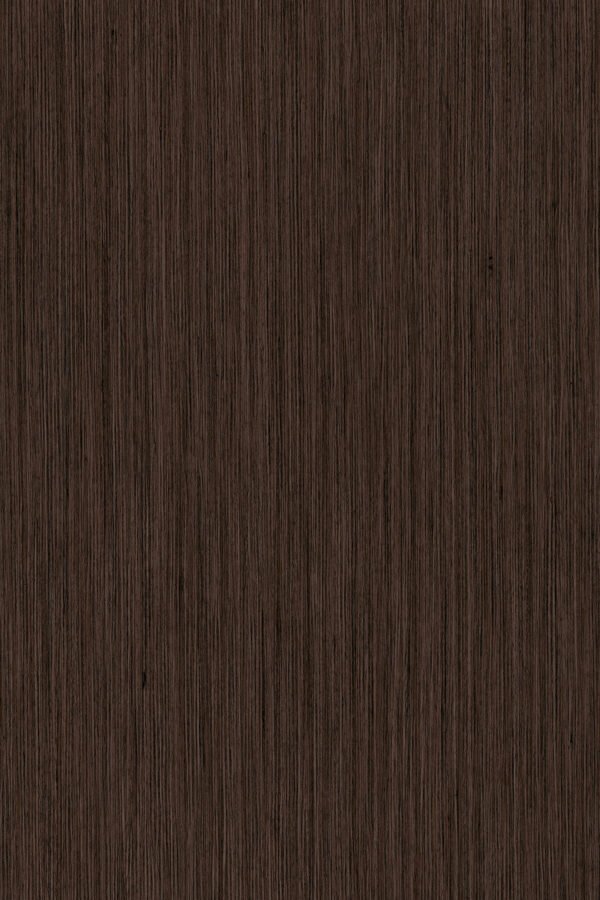 8548 SN Fineline Mocca