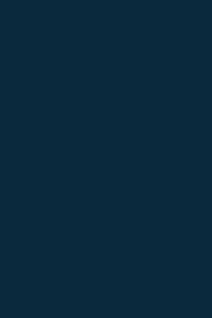 8984 BS Navy Blue