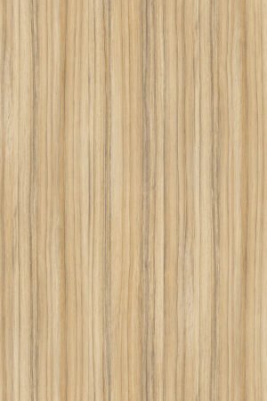 8995 SN Coco Bolo