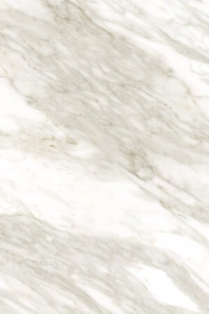 K023 SQ;SU Venato