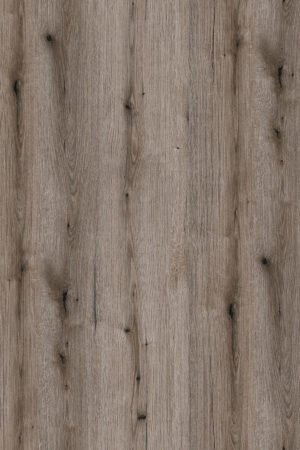 K366 PW Fossil Evoke Oak