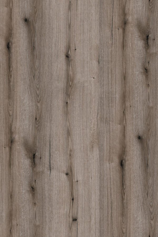 K366 PW Fossil Evoke Oak