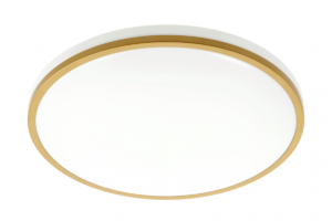 TULA LED Deckenleuchte, Ø350mm, 4000K, 24W, 1680lm, AC180-250V, 50/60 Hz, PF>0,5, IP44, gold, 3y